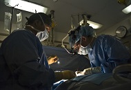 How to Minimize the Effects of an FUE Transplant