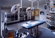Graft Extraction Methods in Turkey